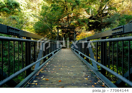 山中の吊り橋 山中の吊り橋 77064144