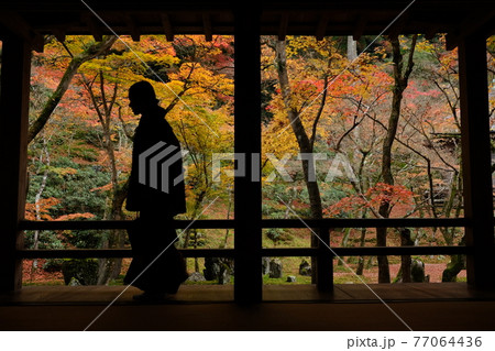 大宰府の秋 77064436