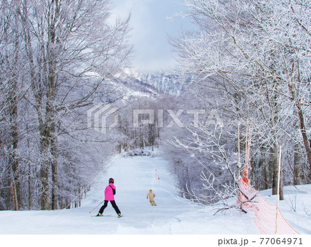 白馬岩岳スノーフィールド　樹氷のIwatake Back BowlのViewコース 77064971