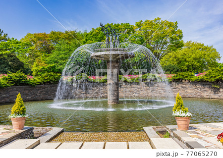 春の国営昭和記念公園　東京 77065270