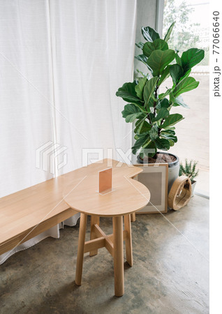 Interior of wooden table, label, seat, frame and fiddle fig tree in the cafe Interior of wooden table, label, seat, frame and fiddle fig tree in the cafe 77066640