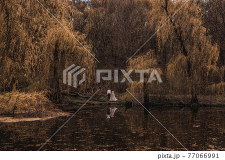married couple on coast lake river in nature. Aerial drone top view 77066991