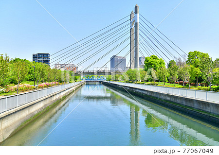 末広橋／仙台堀川より木場公園大橋方面を望む(東京都江東区)【2021.4】 77067049
