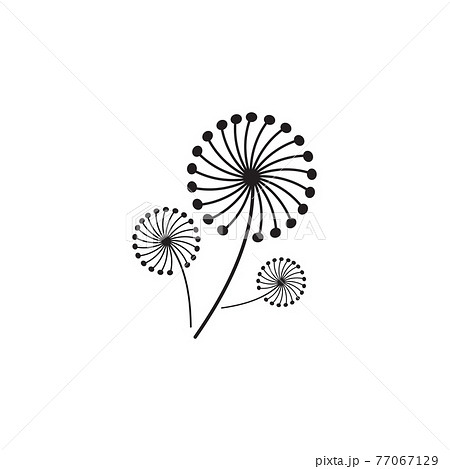 Dandelion flower logo design template Dandelion flower logo design template 77067129