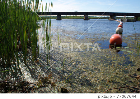 Train Bridge Over Water 77067644