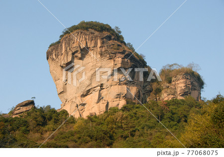 Wuyishan mountains in Fujian Province, China. View of DaWang Peak (Great King Peak) in Wuyi mountains a UNESCO World Heritage site. Close up view with forest in the foreground. Wuyishan, China. Wuyishan mountains in Fujian Province, China. View of DaWang Peak (Great King Peak) in Wuyi mountains a UNESCO World Heritage site. Close up view with forest in the foreground. Wuyishan, China. 77068075