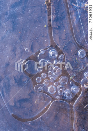 Ice structure. Abstract illustration in purple tones. Background, texture of frozen water. Frosty drawing on the window 77068951