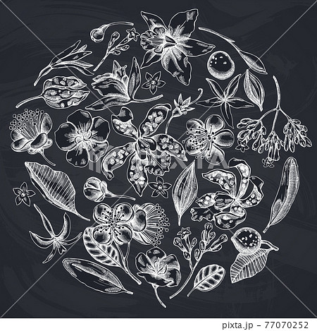 Round floral design with chalk laelia, feijoa flowers, glory bush, papilio torquatus, cinchona 77070252