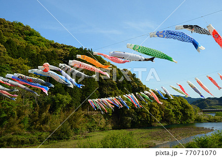 5月の空を泳ぐこいのぼり 5月の空を泳ぐこいのぼり 77071070