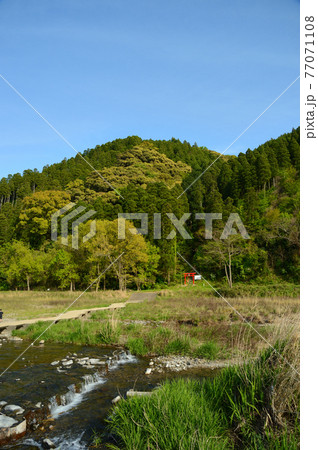 川のそばにある鳥居 77071108