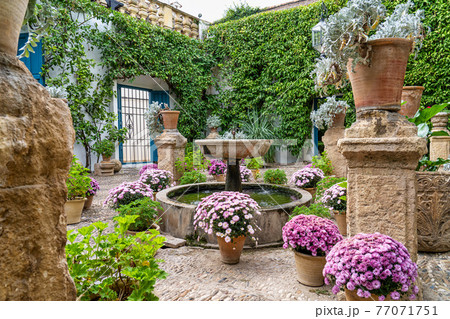 Courtyard garden of Viana Palace in Cordoba, Andalusia, Spain. 77071751