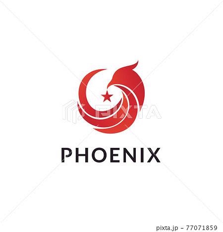 Phoenix bird with star logo design vector Phoenix bird with star logo design vector 77071859