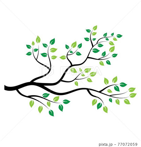 tree branch vector ilustration design 77072059