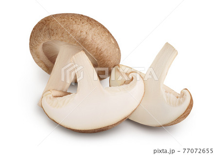 Fresh Shiitake mushroom isolated on white background with clipping path and full depth of field. 77072655