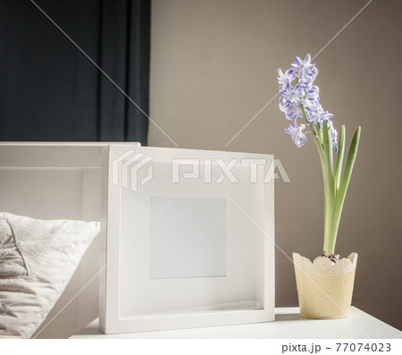 easter spring still life. card mockup, hyacinth in flower pot, Scandinavian interior 77074023