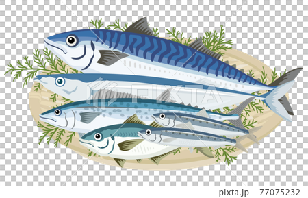 Assorted blue fish 77075232