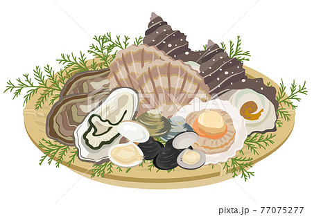 貝類の盛り合わせ 貝類の盛り合わせ 77075277