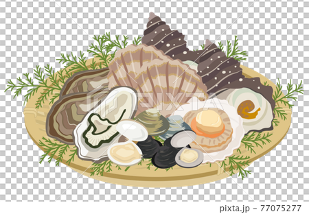 貝類の盛り合わせ 貝類の盛り合わせ 77075277