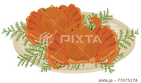 ザルに盛った毛ガニ ザルに盛った毛ガニ 77075278