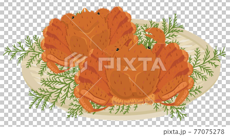 ザルに盛った毛ガニ ザルに盛った毛ガニ 77075278