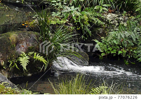 東山動植物園点景 77076226