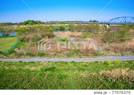 荒川土手から 早春の風景 荒川 JR川越線鉄橋 荒川土手から 早春の風景 荒川 JR川越線鉄橋 77076370