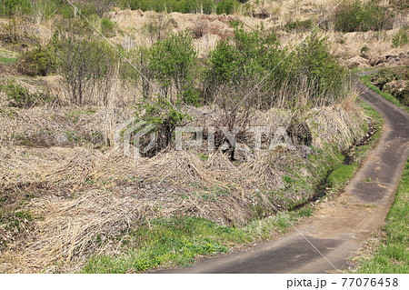 耕作放棄地 77076458