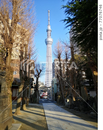 三圍神社から見える鳥居越しの東京スカイツリーの写真素材