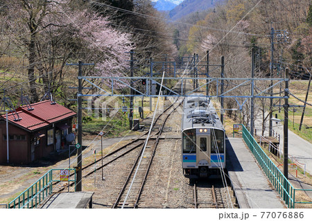 大糸線　春の簗場駅 77076886