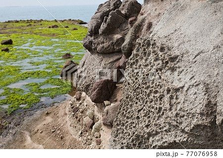 干潮で青藻の現れた西方海岸 77076958