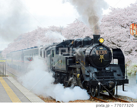 お立ち台の蒸気機関車 77077320