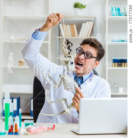Funny scientist with cat skeleton in lab clinic Funny scientist with cat skeleton in lab clinic 77077580