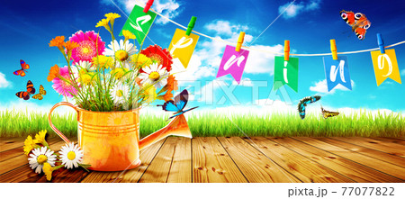 Colorful wild flower bouquet in a watering can with butterflies. 77077822