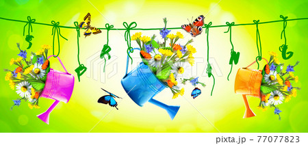 Colorful wild flower bouquet in a watering can with butterflies. Colorful wild flower bouquet in a watering can with butterflies. 77077823
