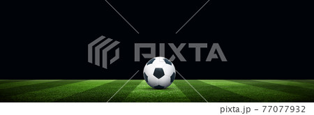 Soccer stadium arena with natural green grass Soccer stadium arena with natural green grass 77077932