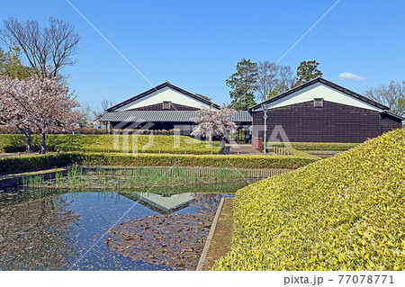 富士見市立難波田城公園 富士見市立難波田城公園 77078771