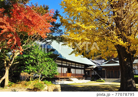 鎌倉市 浄妙寺境内の紅葉と本堂と青空 鎌倉市 浄妙寺境内の紅葉と本堂と青空 77078795