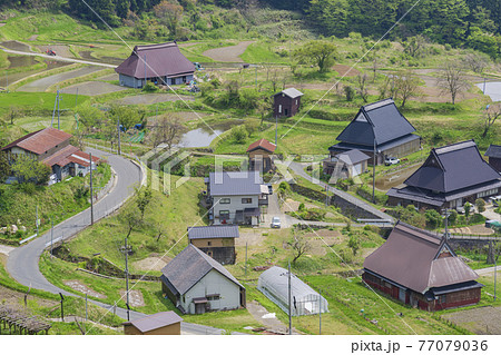 京都 世屋高原(春) 京都 世屋高原(春) 77079036