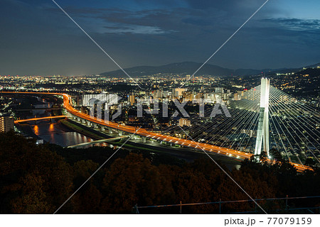 大阪府池田市五月山秀望台の夜景・阪神高速11号池田線新猪名川大橋ビッグハープのライトアップ 大阪府池田市五月山秀望台の夜景・阪神高速11号池田線新猪名川大橋ビッグハープのライトアップ 77079159