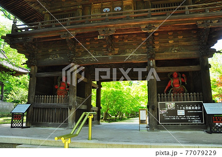 世田谷区 九品仏浄真寺の山門（仁王門）と新緑の写真素材 [77079229] - PIXTA