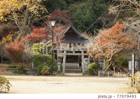 山口県 岩国市 吉香公園 褒忠社の鳥居  77079493