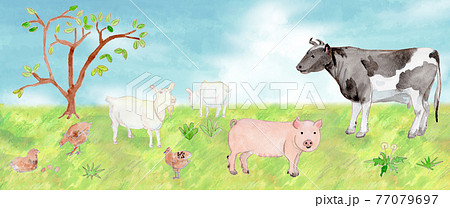 牧場の牛 豚 ヤギ ニワトリの水彩イラストのイラスト素材