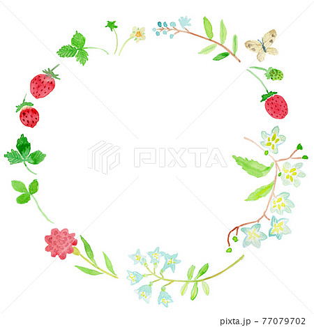 苺、卯の花、カーネーション、モンシロチョウ、5月のイメージのリース 77079702