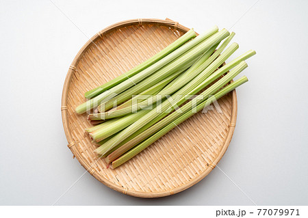 ルバーブ ルバーブ 77079971