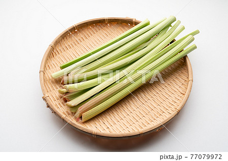 ルバーブ ルバーブ 77079972