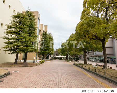 香川大学幸町キャンパスの写真素材