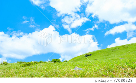 爽やかな高原風景(夏) 爽やかな高原風景(夏) 77080228