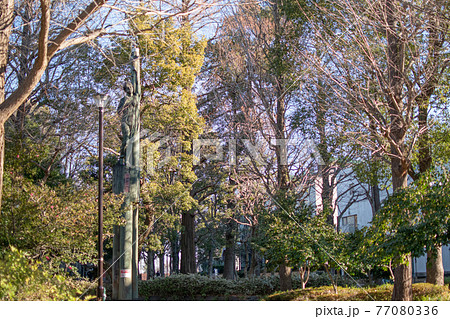 滝野川公園 ／北区西ヶ原 77080336