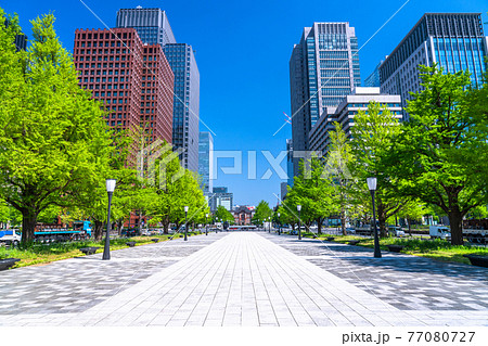 《東京都》東京駅・新緑の行幸通り 77080727