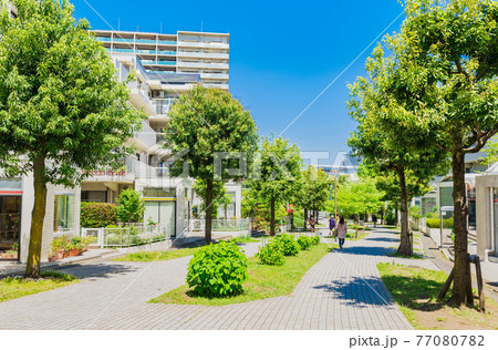 郊外の住宅地　新緑の生活道路 77080782